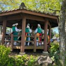 함덕초등학교선인분교장 이미지