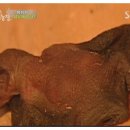 배티농장 이미지