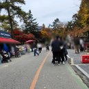 가을동물원