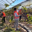 차세대융합기술연구원 이미지