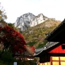 흰바위로 이미지