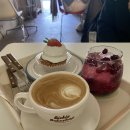 한국농아인협회강원특별자치도협회 | 현지인 추천 속초 카페 총정리 (고성·양양 포함)｜부모님 취향 저격 + 인생샷 감성 카페