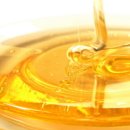 꿀강아지 이미지