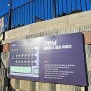 고든남정육점