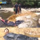 금다래캠핑장