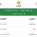 통영환경 | 임산부 친환경 농산물 꾸러미 통영 신청 및 주문 후기