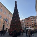 화방관광 | [직장인 5박 7일 로마자유여행 4일차] 이탈리아 로마 천장화 3대장 추천 x 판테온부근 x 콜로세움 나잇뷰