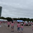 션이뷰티 | 월리런 2026 후기 (5km 참가)