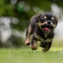 바이탈 메디컬 이미지