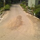 송곡1교 이미지