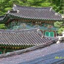 대자연횟집 이미지