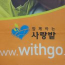 솔채메디칼 이미지