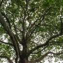 국립공주대학교 문화유산대학원 이미지