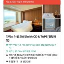 프라이빗 양양 | 7월의 양양여행에서 최고 잘한 선택 내돈내산 양양캐비넷 숙소 후기(바다뷰통창, 프라이빗비치 설악해변...