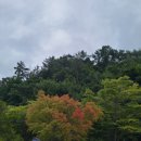 여주-0911 네이버블로그