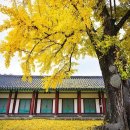 향교농장 네이버블로그