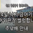 7월4일,낙지 금어기라서 활어위판장이 썰렁합니다. 주낚배 안내 입니다. 이미지