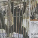 곰농장 이미지