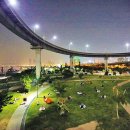 뚝섬한강공원-17 이미지