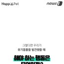 카드119