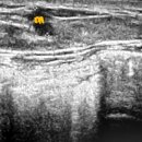 이영미유외과의원 이미지