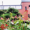 백일홍동산 이미지