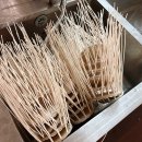 풍향초등학교 | [광주라탄공예]초등학교 공예수업_라탄미니바구니|찾아오는공예체험