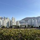 보육교사론 | 보육교사 2급 자격증공부 대면수업 후기(부산보건대 주차)