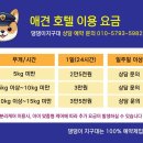 댕댕이 지구대 이미지