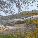 금오도별밤지기펜션 이미지