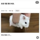 [미래클러닝] 인생은 게임이고, 연애다(2) | 팔월이오 ~~