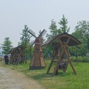 호수공원6로 이미지