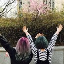 아이리스 헤어샵 - 사하구 | 아이리스 헤어샵