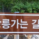 경순왕릉 해설사의 집 이미지