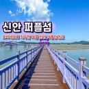 천사퍼플민박 | 전라도 신안 퍼플섬 퍼플교 건너 반월도 박지도 퍼플마을 섬여행