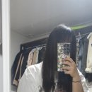 코몽 애견샵 | 일상 기록 _ 1월이 증발하고 있다...