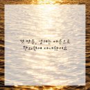 편안몸한의원 이미지