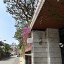 8만원대 증명사진 시현하다 본점 후기, 수연 작가님 추천