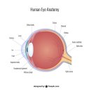 광교이마트 이미지