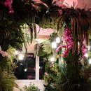 PHOTO 101 | 대만 자유여행 타이페이 101 전망대 관람 후기 입장료 입장 시간