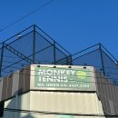 몽키테니스루프탑칠곡