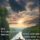 고핏 이미지