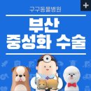 구구동물병원 이미지