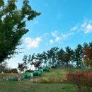 중산근린공원 이미지