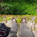 삼호교민박 이미지