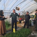 김종훈 농장 이미지