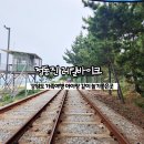 강원도 가족여행 '정동진 레일바이크' 주차장 예약 4인승 후기