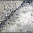 탑포어촌체험휴양마을 이미지