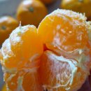 지연농장 | 장사의신이 극찬한 '제주방가네농장' 노지 감귤, 당도가 다른 진짜 이유!