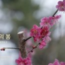 방림원 식물원 이미지